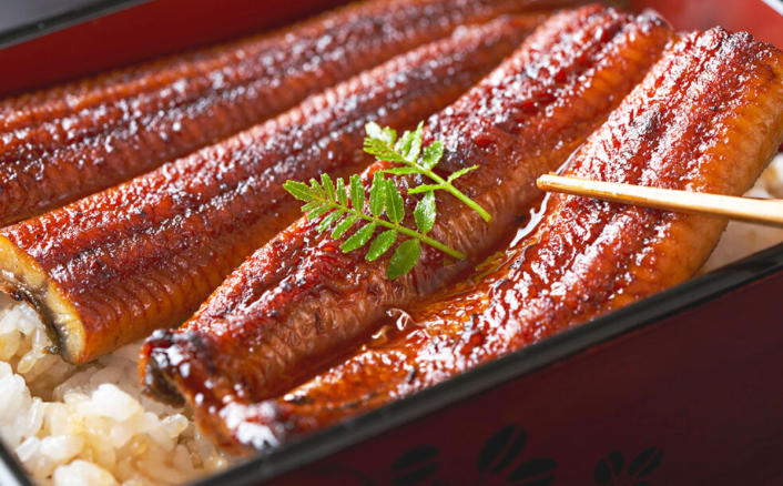 日式鰻魚 (250g)